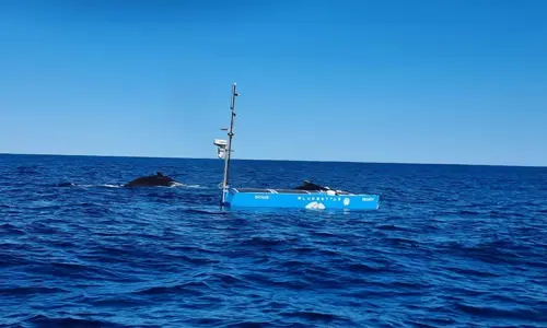 Bluebottle BEACON side shot on the ocean