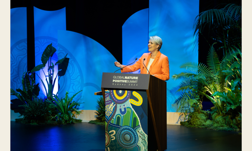 View of speaker on stage with branded Global Nature Positive Summit lectern, addressing the audience