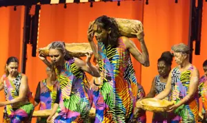 Sustainability Social Indigenous Performers