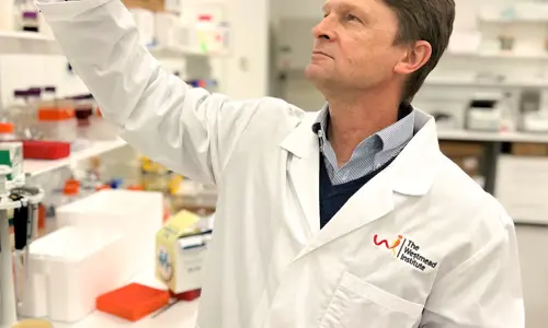 Professor Jon Iredell holding up petri-dish in a laboratory