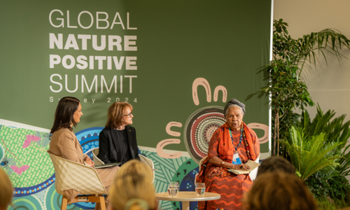 Informal Speaker Session With Three Women Speaker Panel