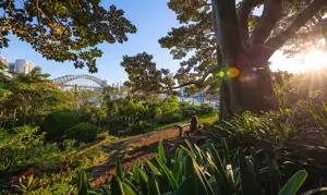Woman Sitting In Wendy Whiteleys Secret Garden In Lavender Bay Cr DNSW