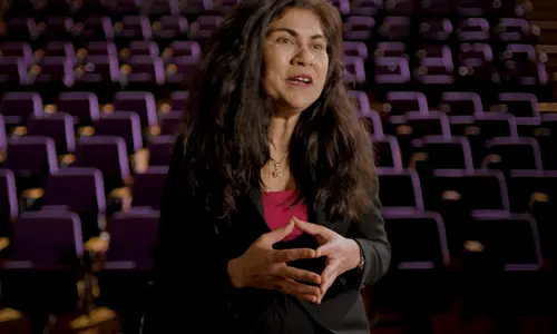 Ambassadors Video Series Veena Sahajwalla