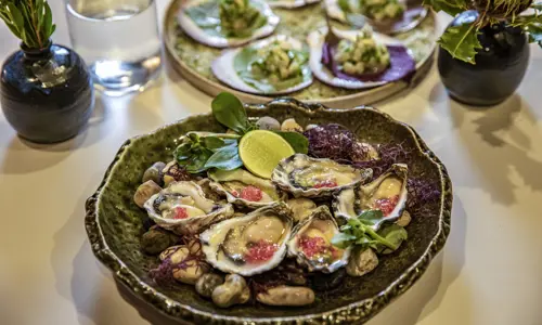 Aria Credit Destination NSW