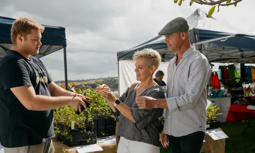 Indigigrow At Blak Market 