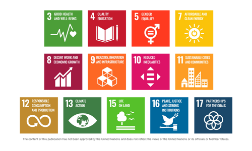 Sustainability Policy Icons UN Sustainable Development Goals